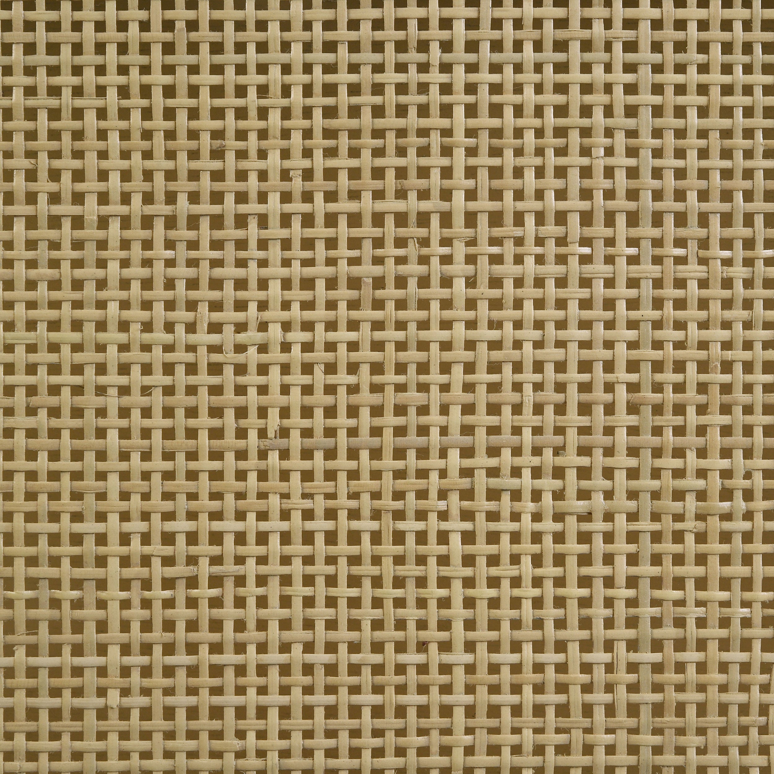 Arini Beds