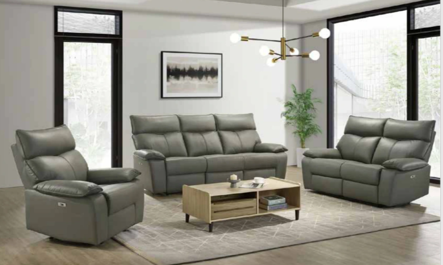 Wildcat Reclining Set