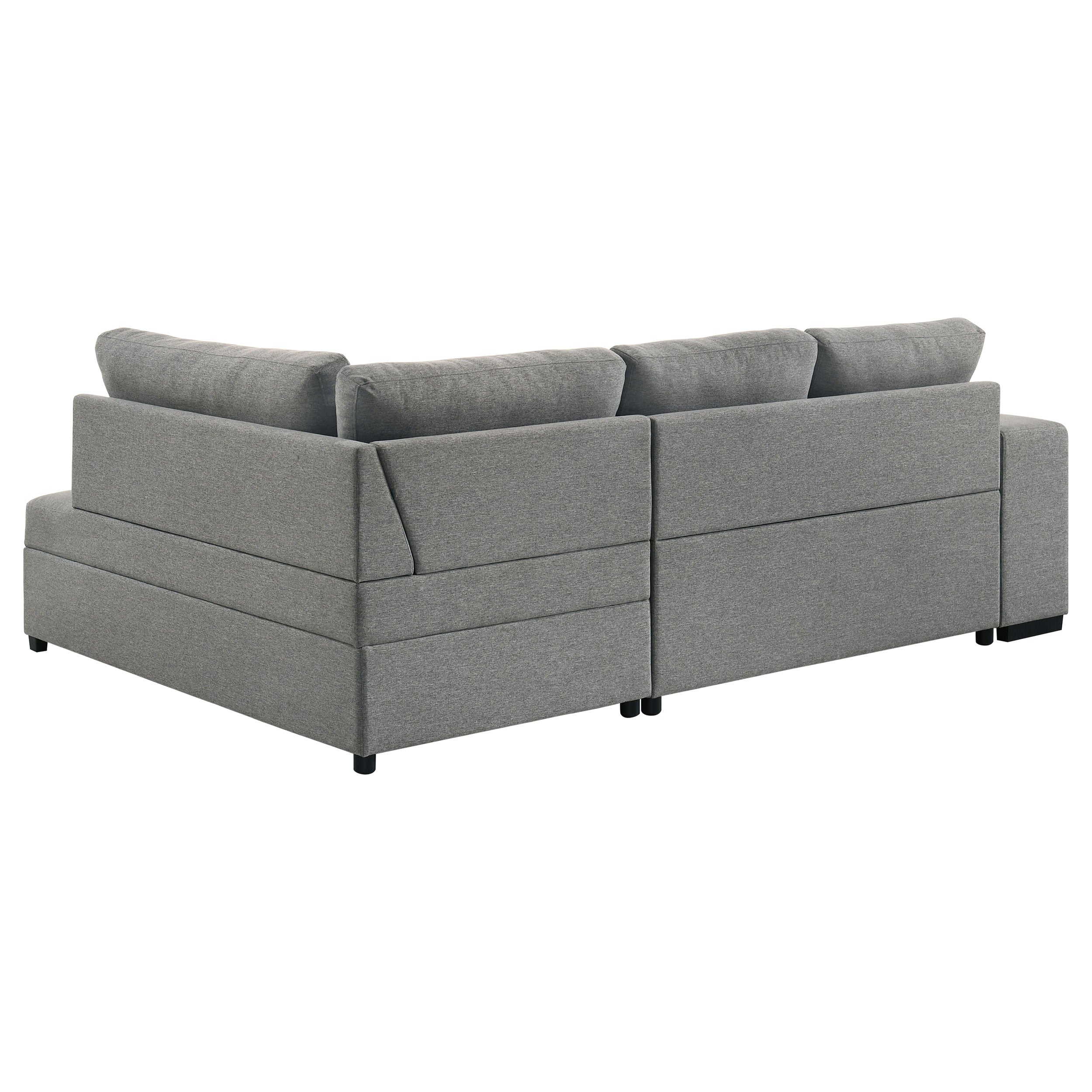 Roanne Pull-Out Sleeper Sectional Sofa