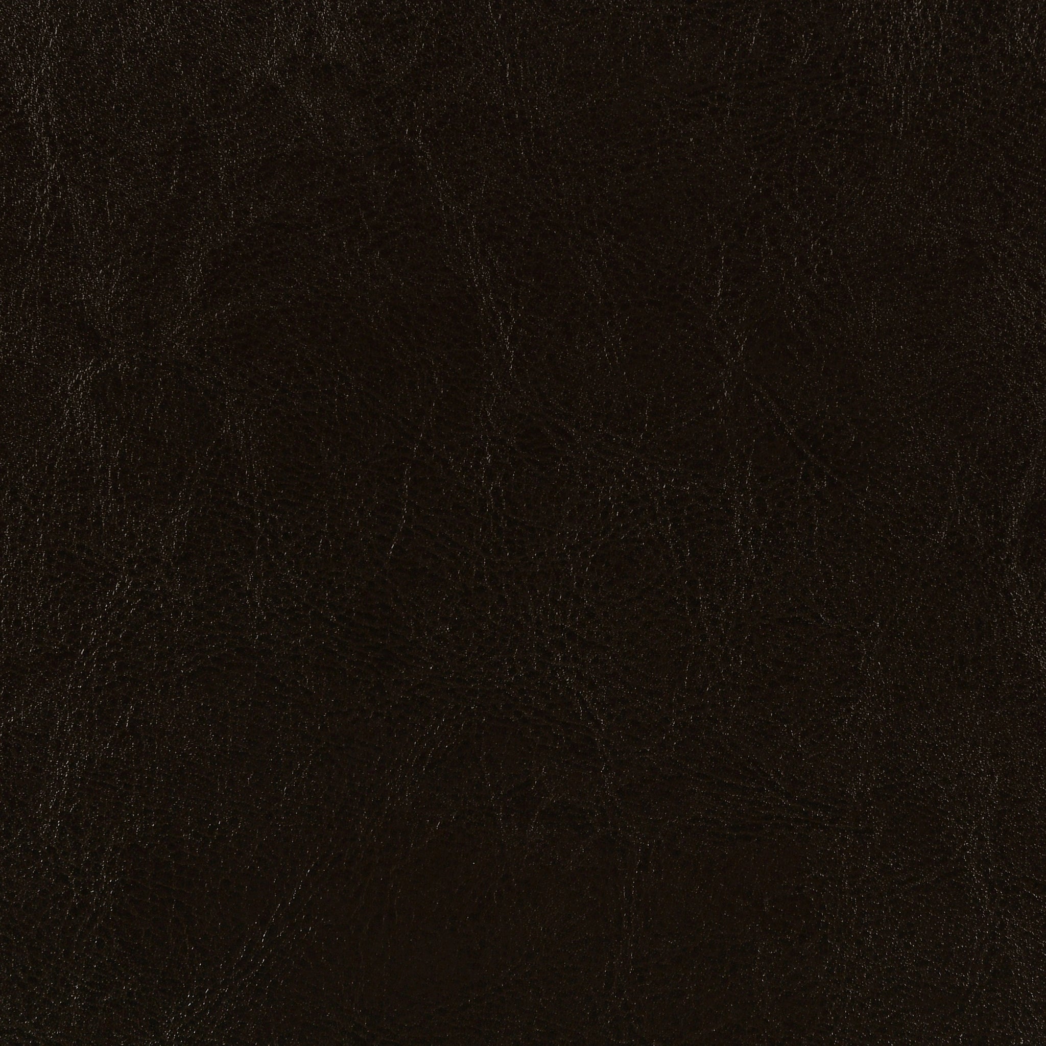 Dorian Panel Bed